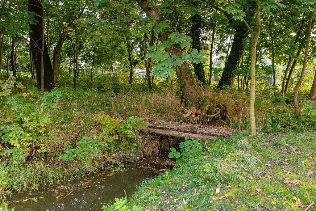 Palac Kietlin Niemcza Buitenkant foto