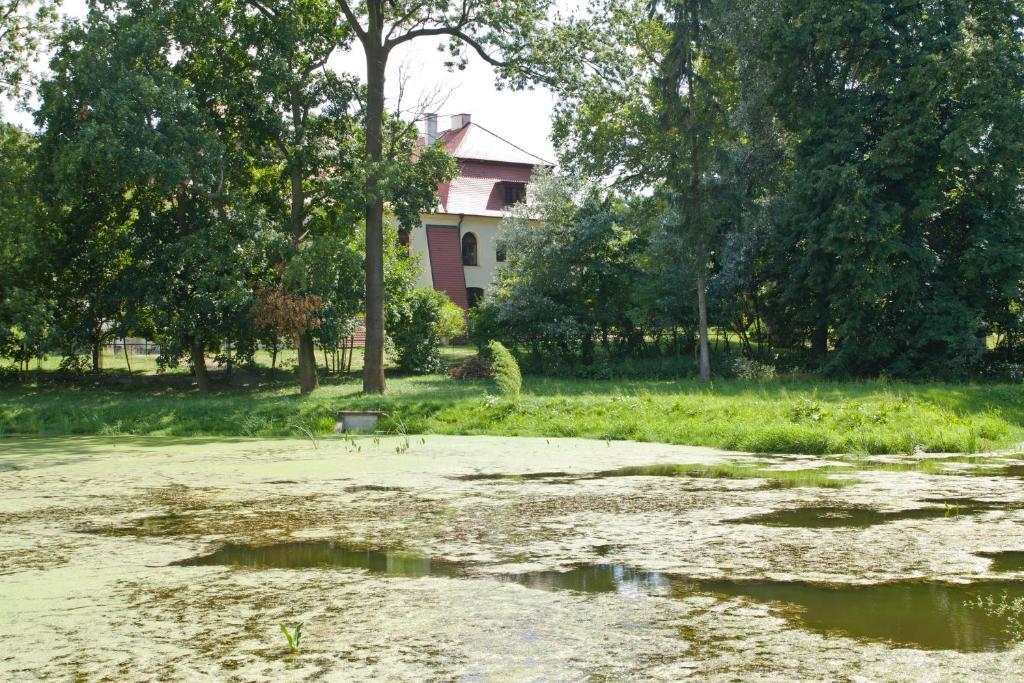 Palac Kietlin Niemcza Buitenkant foto